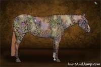 Horse Color:Nacre Red Dun Ice Sabino 