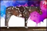 Horse Color:White Spotted Liver Chestnut