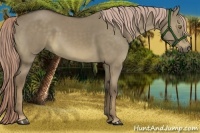 Horse Color:Chocolate Palomino Dun Sabino 