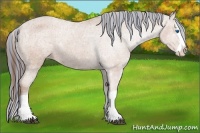 Horse Color:Painted Bay Splash Appaloosa