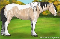 Horse Color:Bay Ice Dun Sabino Splash Tobiano Rabicano 