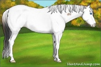 Horse Color:Plaid  Bay Ice Splash Tobiano 