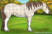 Horse Color:Plaid  Brown Ice Dun Sabino Varnish 
