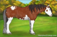 Horse Color:Bay Splash Varnish