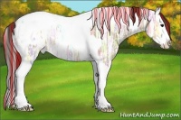 Horse Color:Painted Brown Ice Dun Splash Tobiano Appaloosa 