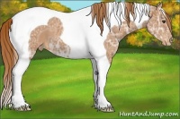Horse Color:Chestnut Ice Tobiano Varnish