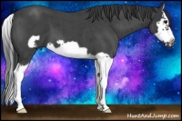 Horse Color:Blue Roan Splash Frame 