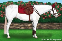 Horse Color:White Spotted Red Dun Splash Tobiano Appaloosa  and White Spotted Bay Roan Dun Splash Appaloosa 