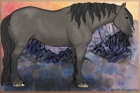 Horse Color:Grullo 