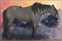 Horse Color:Grullo 