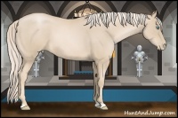 Horse Color:Palomino Roan Pearl 