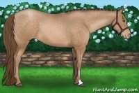 Horse Color:Brown Pearl 