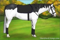 Horse Color:Black Splash