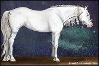 Horse Color:White Spotted Chocolate Palomino Dun 