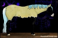 Horse Color:Watercolor Bay Roan Splash