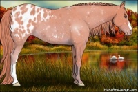 Horse Color:Watercolor Chestnut Appaloosa 