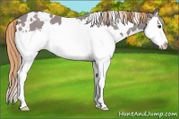Horse Color:Watercolor White Spotted Liver Chestnut Splash 