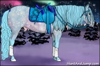 Horse Color:Watercolor Bay 