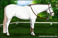 Horse Color:Buckskin Pearl Dun Splash Appaloosa 