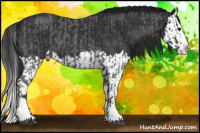 Horse Color:Blue Roan Sabino Splash and Gray Blue Roan Sabino Splash