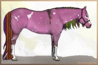 Horse Color:Painted White Spotted Liver Red Dun Rabicano 