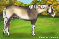 Horse Color:Liver Red Onyx Sabino Rabicano 
