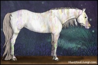Horse Color:White Spotted Silver Bay Ice Dun 