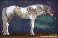 Horse Color:Nacre Silver Buckskin Ice Onyx Tobiano 