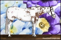 Horse Color:Liver Chestnut Sabino