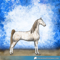 Horse Color:Chocolate Palomino Pearl Dun Tobiano Frame Brindle  and Buckskin Pearl Dun Tobiano Frame Appaloosa Brindle 