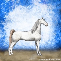 Horse Color:Chocolate Palomino Pearl Dun Tobiano Frame  and Buckskin Pearl Dun Tobiano Frame Appaloosa 
