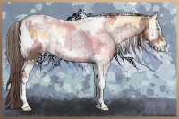 Horse Color:White Spotted Gold Cream Champagne Pearl Onyx Tobiano Frame and White Spotted Liver Red Onyx Pearl Tobiano Frame