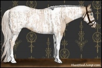 Horse Color:Chocolate Palomino Pearl Tobiano Frame and Chocolate Palomino Pearl Tobiano Frame Rabicano