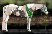 Horse Color:Chocolate Palomino Pearl Tobiano  and Liver Chestnut Sabino Tobiano Appaloosa 