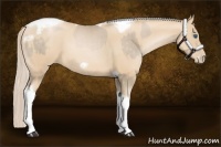 Horse Color:Chocolate Palomino Pearl Tobiano Frame  and Palomino Pearl Tobiano Frame 