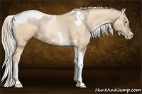 Horse Color:Chocolate Palomino Pearl Tobiano Frame  and Palomino Pearl Tobiano Frame 