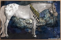 Horse Color:White Spotted Silver Black Varnish 