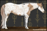 Horse Color:Chocolate Palomino Pearl Tobiano Frame  and Gray Chocolate Palomino Pearl Tobiano Frame 