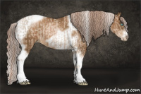 Horse Color:Chocolate Palomino Pearl Tobiano Frame  and Gray Chocolate Palomino Pearl Tobiano Frame 
