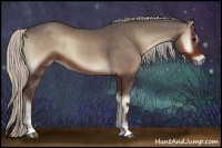 Horse Color:Silver Blue Onyx Sabino 