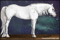 Horse Color:Silver Blue Onyx Sabino