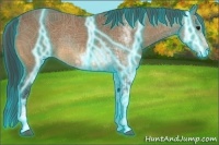 Horse Color:Thunderstruck Buckskin Sabino