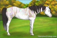 Horse Color:Sable Champagne Ice Splash