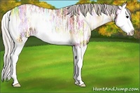 Horse Color:Silver Bay Ice Onyx Sabino Splash