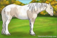 Horse Color:Chocolate Palomino Pearl Tobiano Frame  and Chocolate Palomino Pearl Dun Tobiano Frame 
