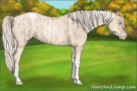 Horse Color:Chocolate Palomino Pearl Tobiano Frame  and Gold Cream Champagne Pearl Tobiano Frame 