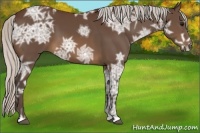 Horse Color:Silver Brown Ice 