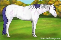 Horse Color:Watercolor Bay Ice Onyx Sabino Tobiano 