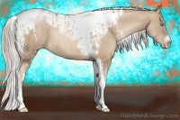 Horse Color:Chocolate Palomino Pearl Tobiano Frame  and Chocolate Palomino Pearl Tobiano Frame 