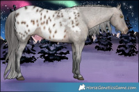Horse Color:Brown Dun Appaloosa Brindle